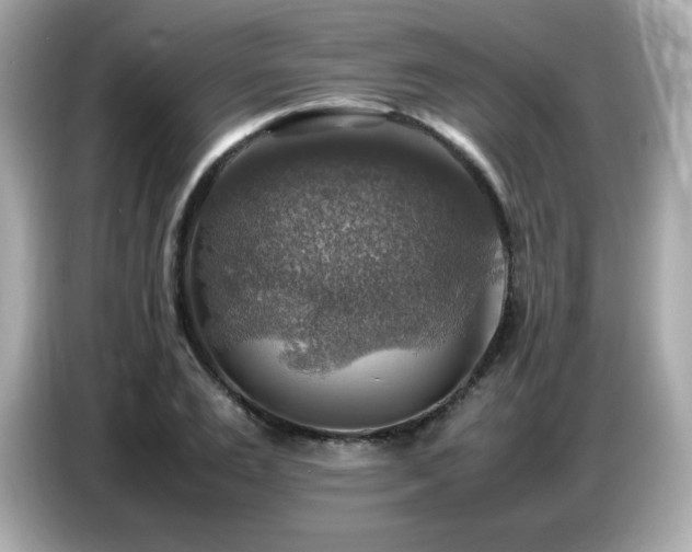 X0000087050983200704181233