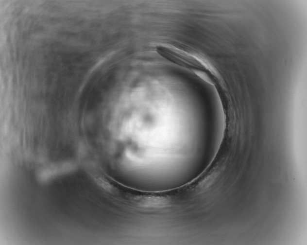 X0000087050984200704181233