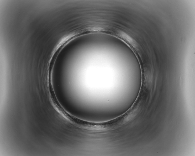 X0000087050986200704181233