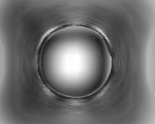 X0000087050987200704181233