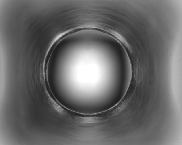 X0000087050988200704181233