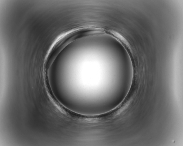 X0000087050989200704181233