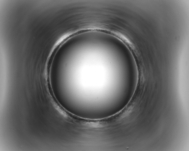 X0000087050990200704181233