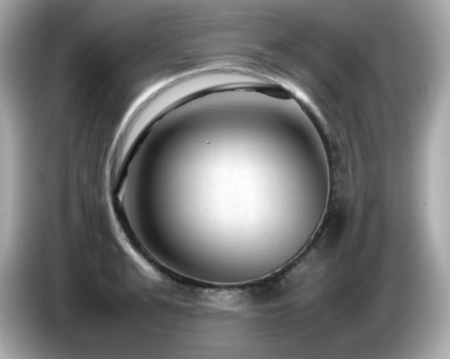 X0000087050991200704181233