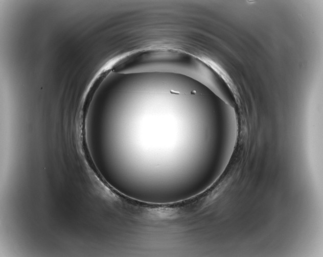 X0000087050992200704181233