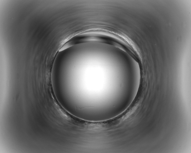 X0000087050993200704181233
