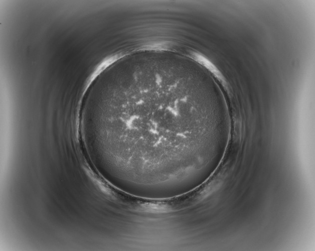X0000087050994200704181233