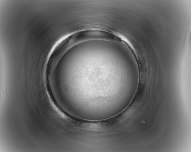 X0000087050995200704181233