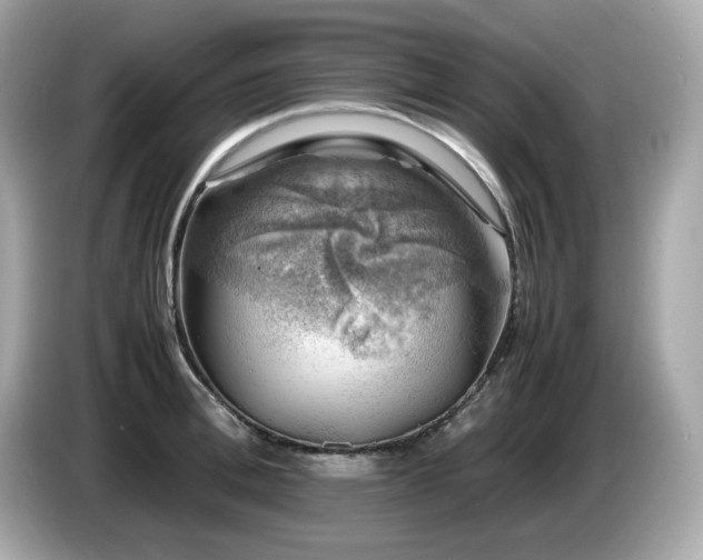 X0000087050996200704181233