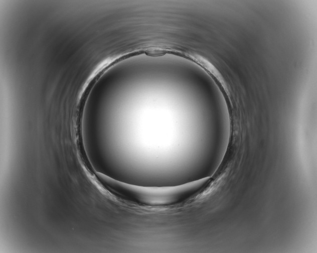 X0000087050997200704181233