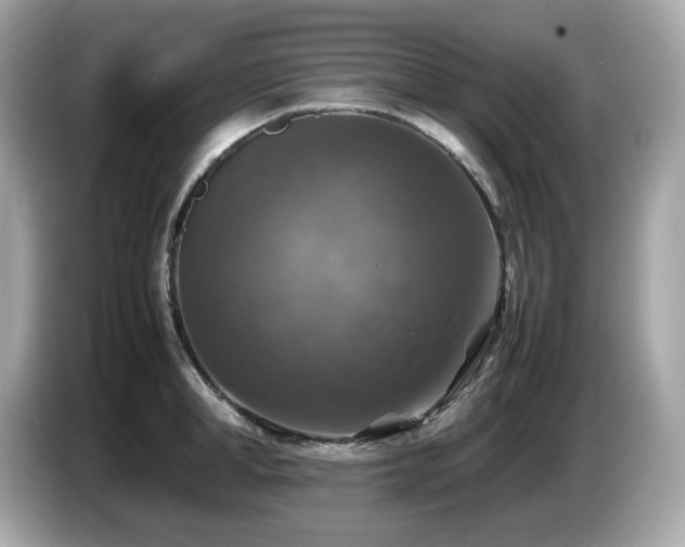 X0000087050998200704181233