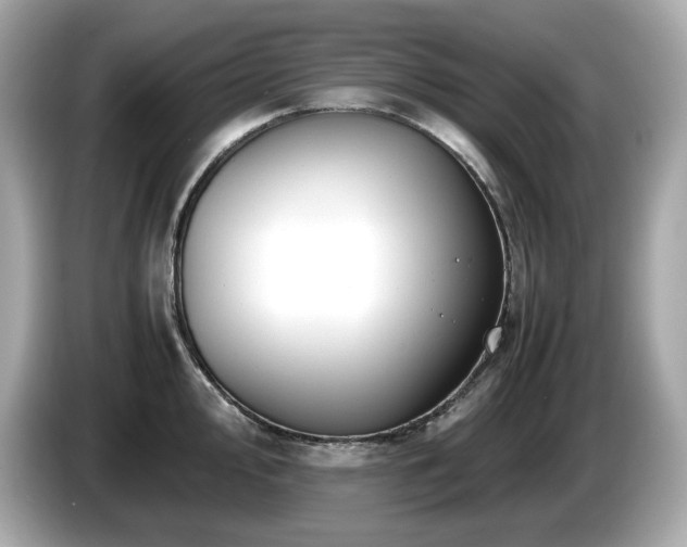 X0000087051000200704181233