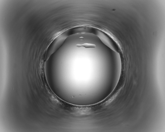 X0000087051001200704181233