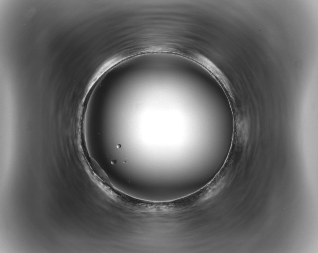 X0000087051002200704181233