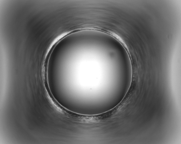 X0000087051003200704181233