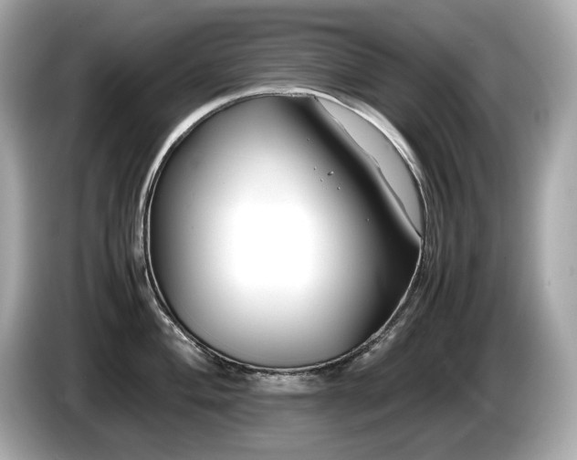 X0000087051004200704181233