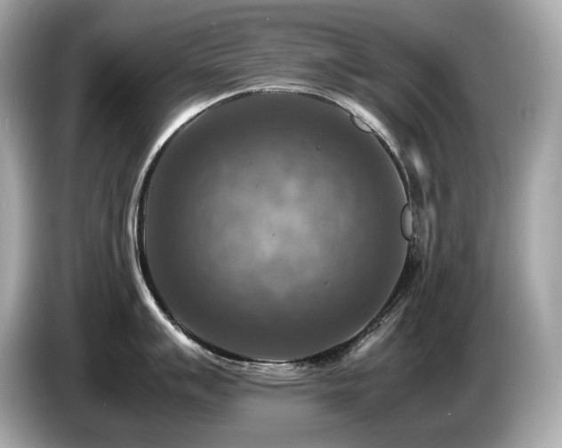 X0000087051007200704181233