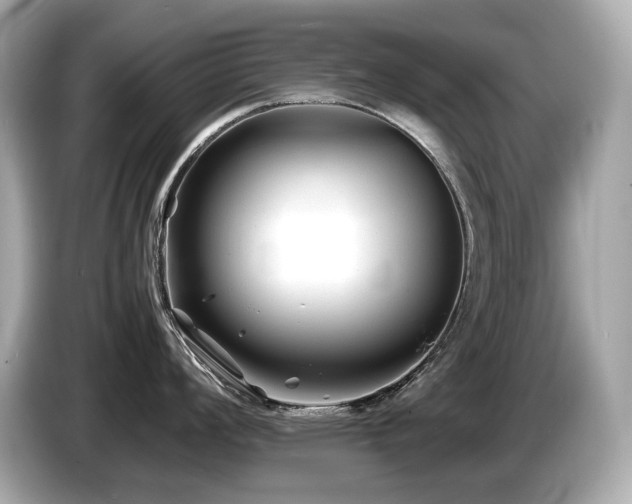 X0000087051008200704181233