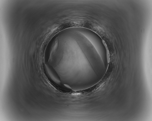X0000087051009200704181232