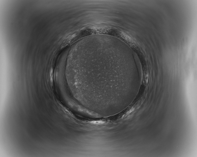 X0000087051010200704181232