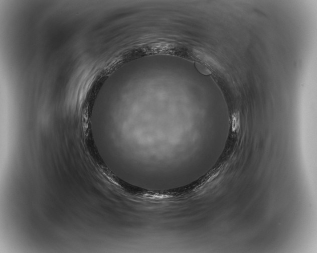X0000087051011200704181232