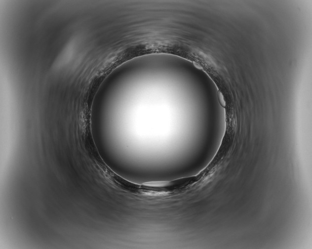 X0000087051012200704181232