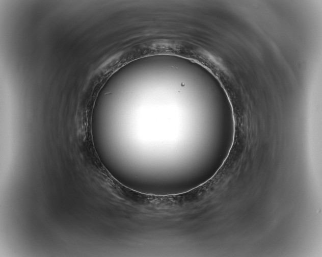 X0000087051015200704181232