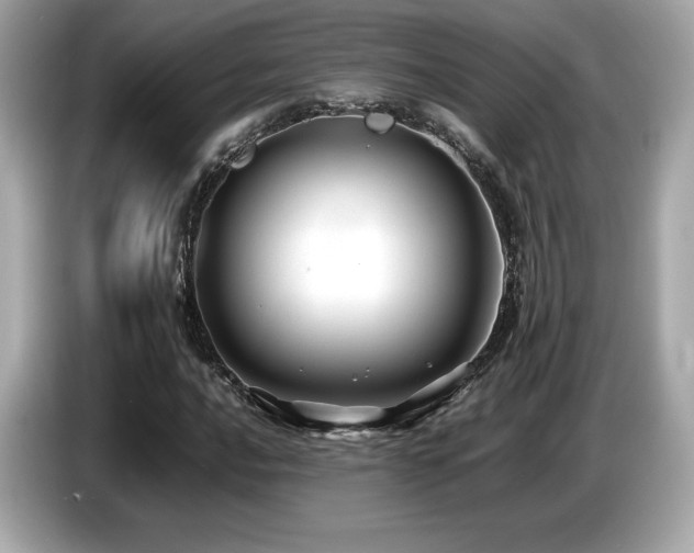 X0000087051016200704181232