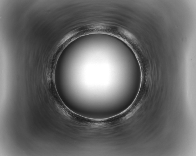 X0000087051017200704181232
