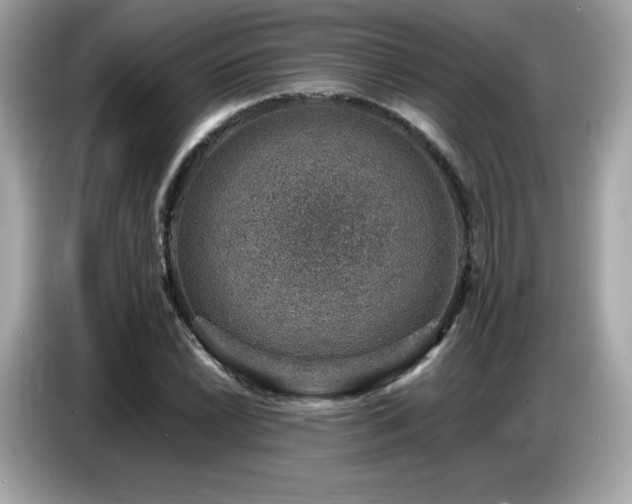 X0000087051022200704181232