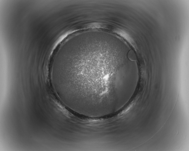 X0000087051023200704181232