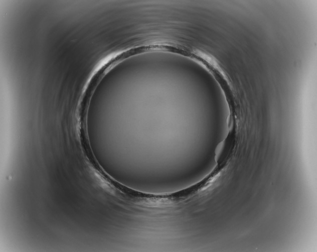 X0000087051024200704181232