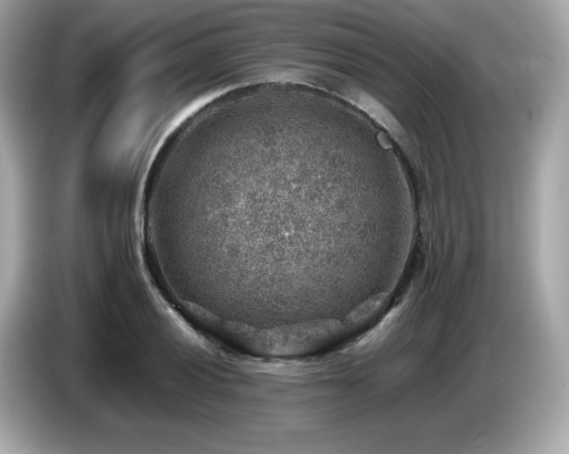 X0000087051028200704181232