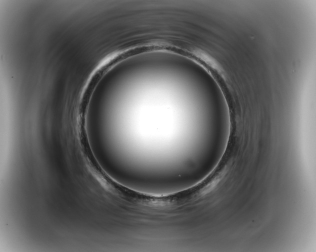 X0000087051029200704181232