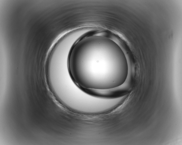 X0000087051030200704181232