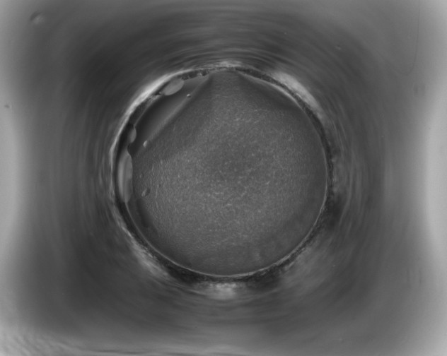 X0000087051031200704181232