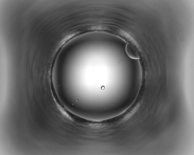 X0000087051033200704181232