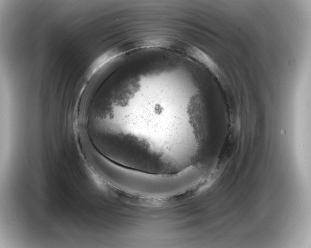X0000087051034200704181232