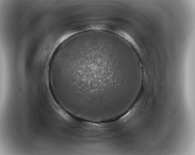 X0000087051035200704181232