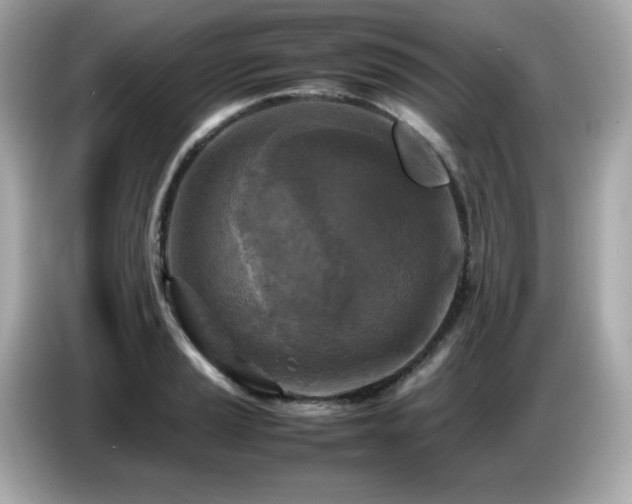 X0000087051037200704181232