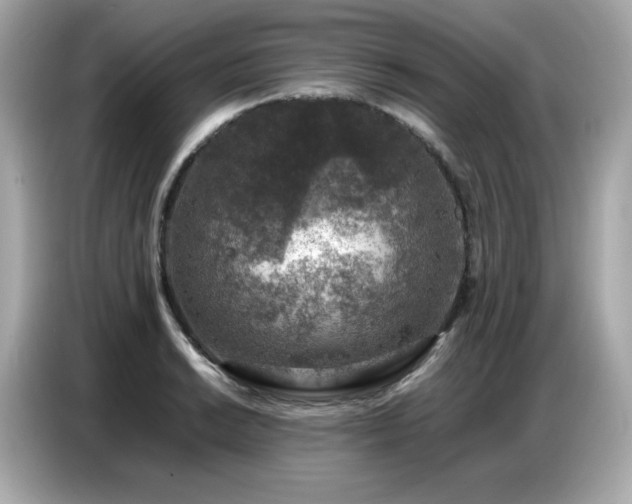X0000087051038200704181232