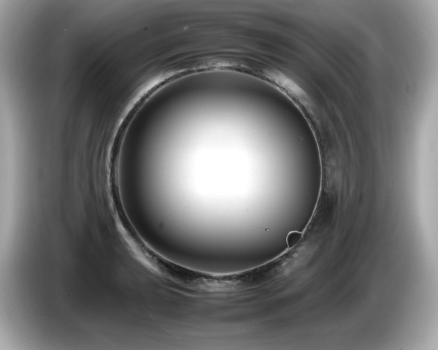 X0000087051039200704181232