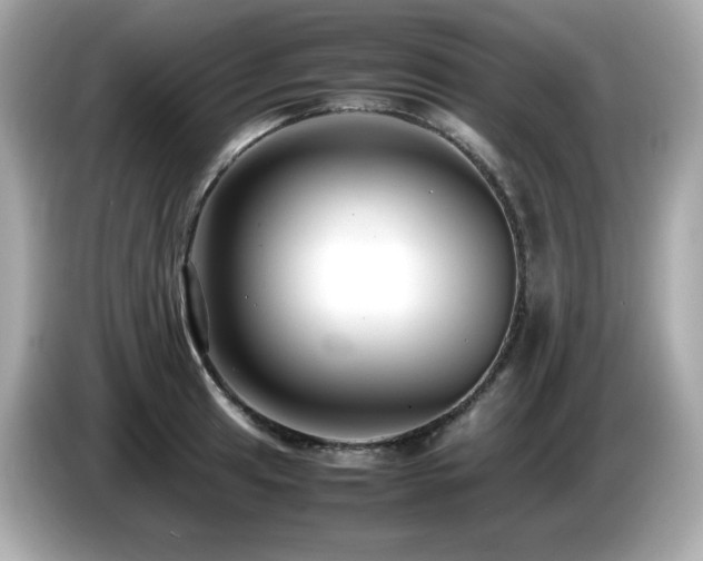 X0000087051041200704181232
