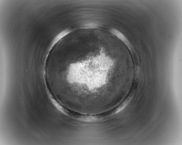X0000087051042200704181232