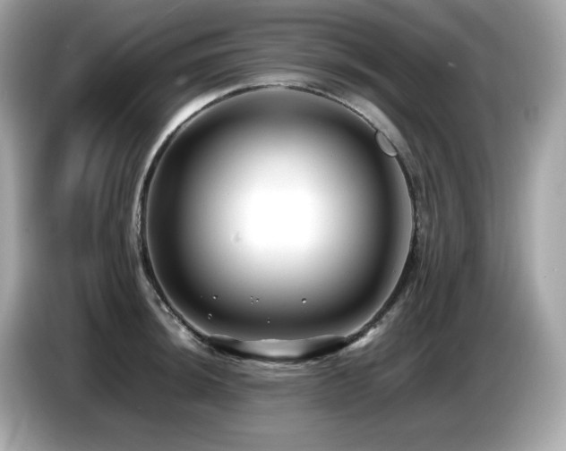 X0000087051044200704181232