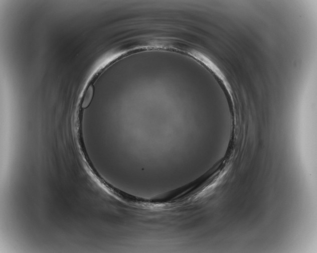 X0000087051045200704181232