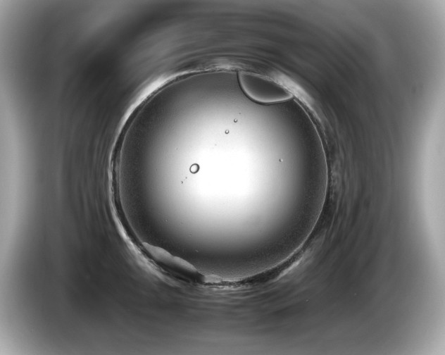 X0000087051047200704181232