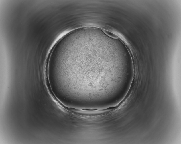 X0000087051048200704181232