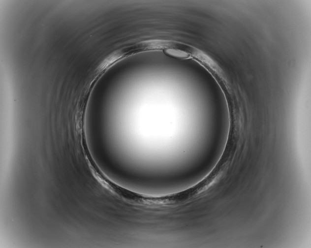 X0000087051049200704181233