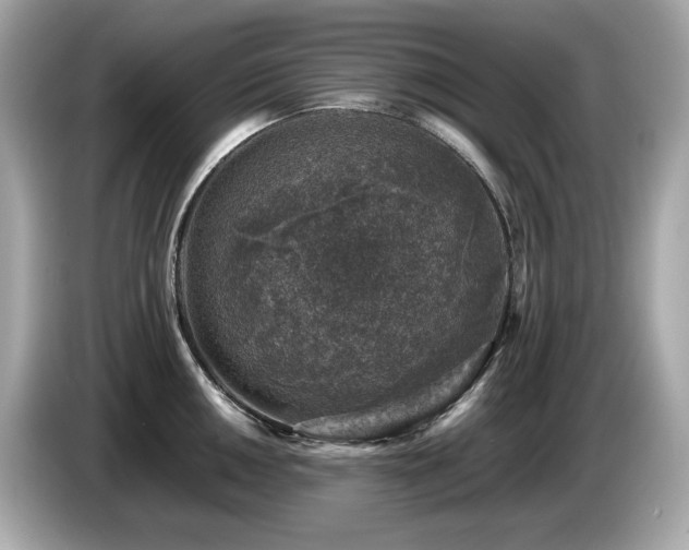 X0000087051050200704181233